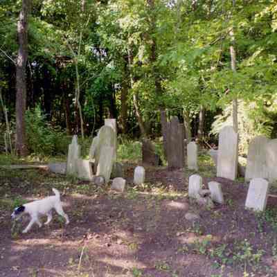 Peck Cemetery M