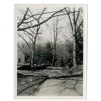 Griswold Estate Doubling Road D