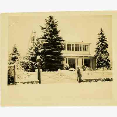 House in Snow Meadowbank Road