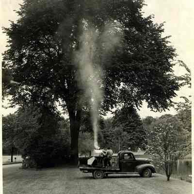 Spraying Elm Trees for Dutch Elm Disease