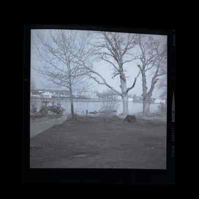 340 Shore Road Negative B