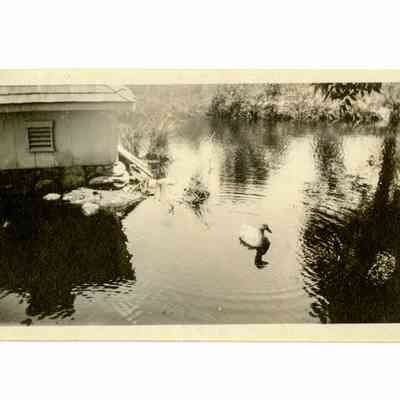 Hope Farm Lake Avenue B