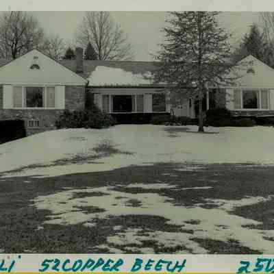 32 Copper Beech Road B