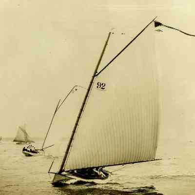 Sailboats in the Harbor