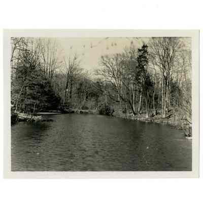 Griswold Estate Doubling Road E