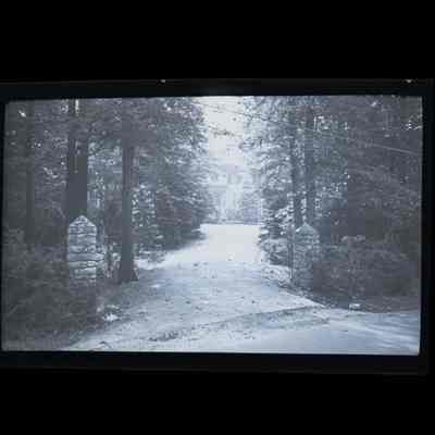 Barlow Estate Davis Avenue Negative