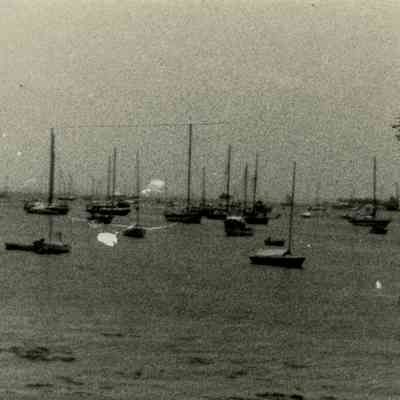 Sailboats on the Water B