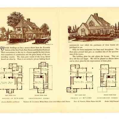 Willomere Manor 2