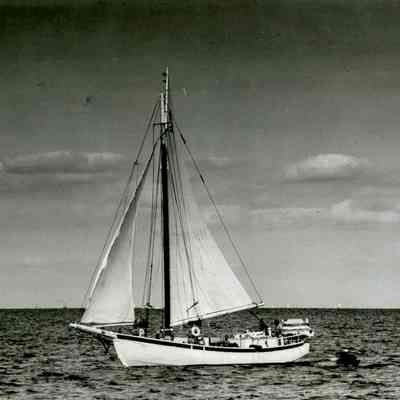 The "Hope" A