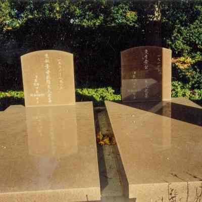 Huang Family Plot B