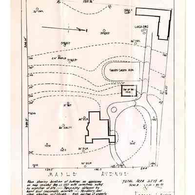 Maple Avenue Map