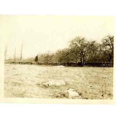 Sweeny Estate Round Hill Road B