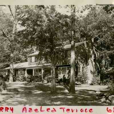 Merry House Azalea Terrace