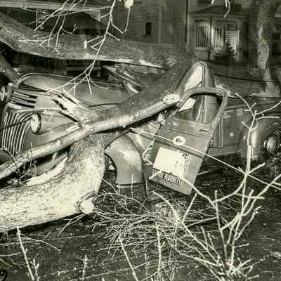 Hurricane Damage