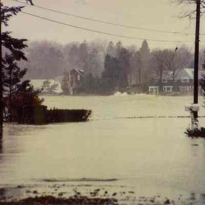 Belle Haven Flooding D