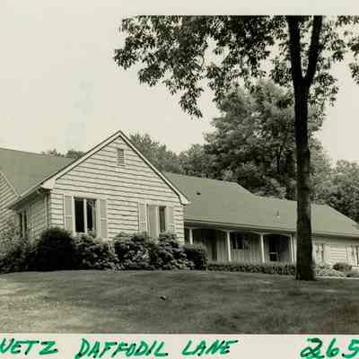 Eskowetz House Daffodil Lane