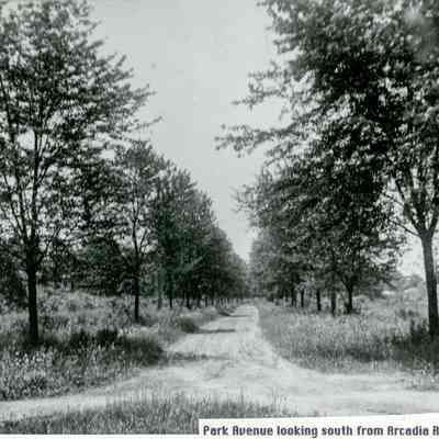 Park Avenue Old Greenwich