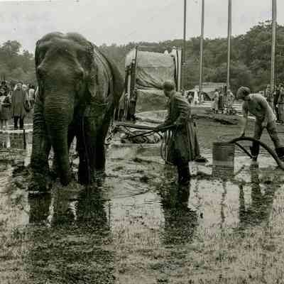 Raising the Tent C