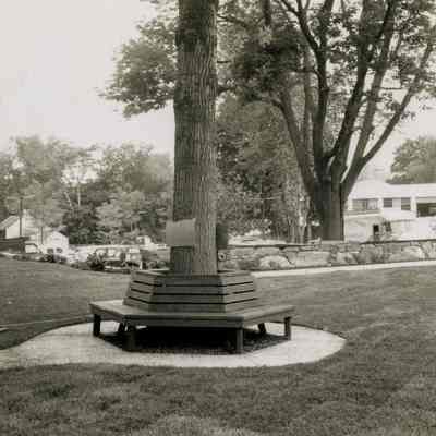 Greenwich Library Bench