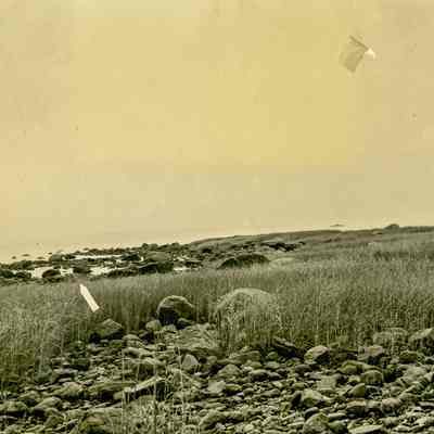 First Landing C