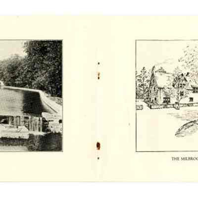 Milbrook 7