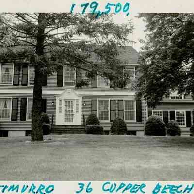 36 Copper Beech Road B