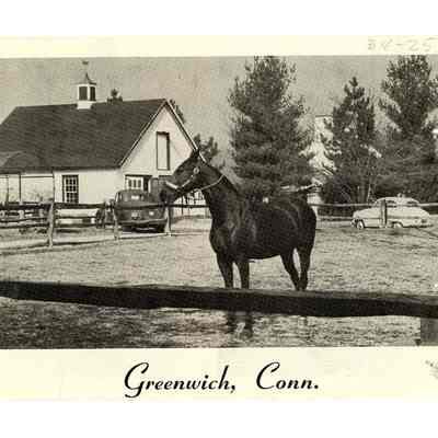 Gentleman's Country Estate 1