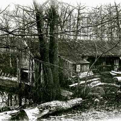 Jonathan Close Sawmill