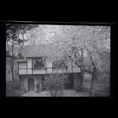 16 Brookside Park Negative