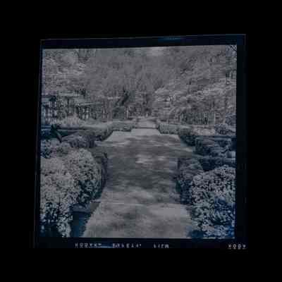 Simmons Estate Lake Avenue Negative F