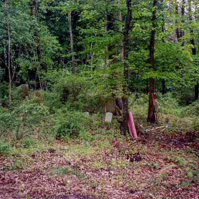 Peck Cemetery A