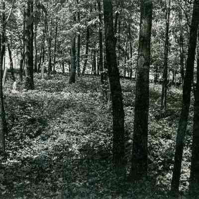 Burying Hill Cemetery