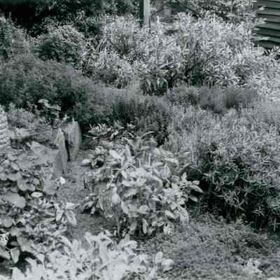 Bush-Holley House Garden B