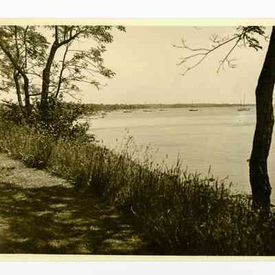 Williams Estate Field Point Park D