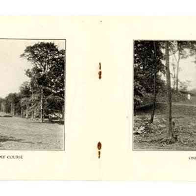Milbrook 8