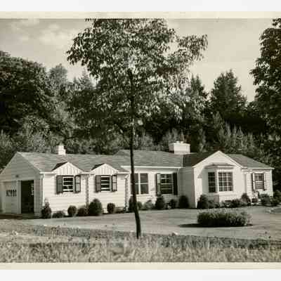 Allen Estate Corrigan Lane