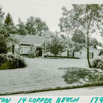 14 Copper Beech Road
