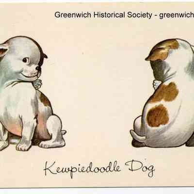 Kewpiedoodle Dog