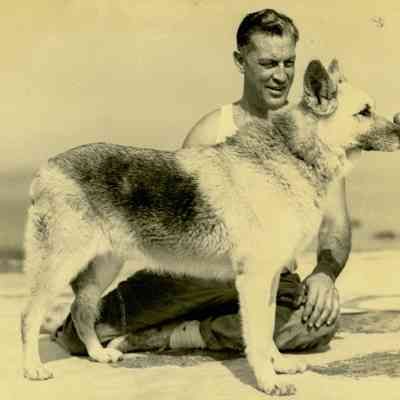 Dog on Wee Captain's Island A