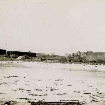 Coastline E - Greenwich Plaza from Grass Island