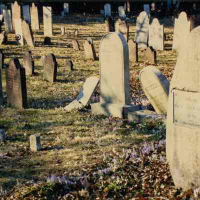 Tomac Cemetery Gravestones E