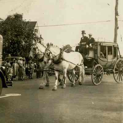 Horses and Carriage A