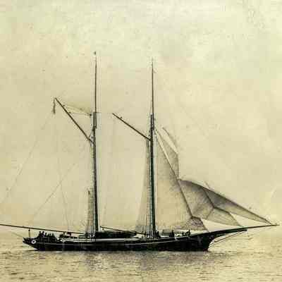 Sloop in the Harbor