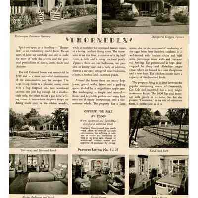 Thorneden Cognewaugh Road Ad