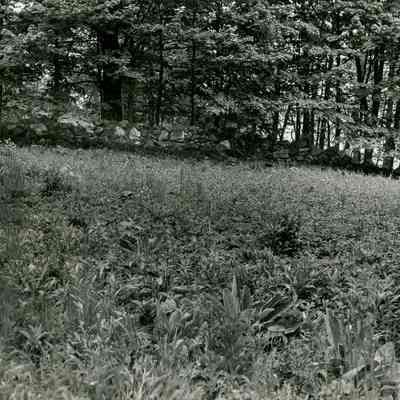 Taconic Road Cemetery Stonewall