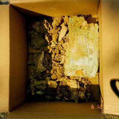 Church Time Capsule B