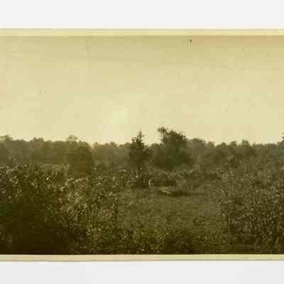 Cherry Valley Road