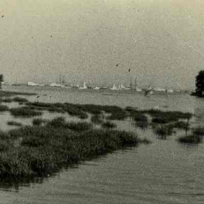 Coastal Marsh B