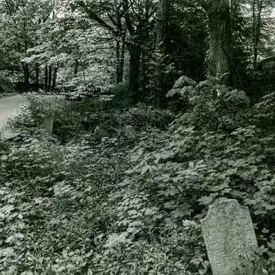 Overgrown Cemetery