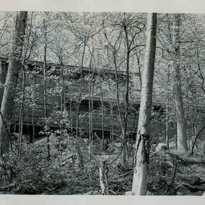 Lauridsen House Azalea Terrace